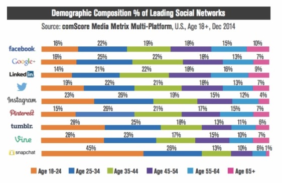 Snapchat has the highest users in Age 18-24 category